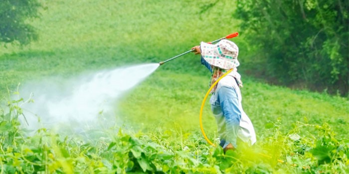 High purity 97% 2-Fluoro-3-nitrobenzoic acid CAS 317-46-4 High purity 97% 2-Fluoro-3-nitrobenzoic acid CAS 317-46-4