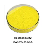 Bisbenzimide H-33342 Trihidroklorida (Hoechst 33342) CAS 23491-52-3