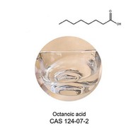 CAS Asid Octanoic/Caprylic Asam Berkualiti Tinggi 124-07-2